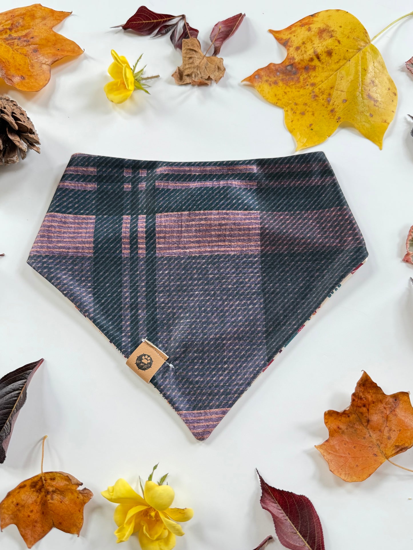 Fall Foilage Reversible Adventure Proof Bandana