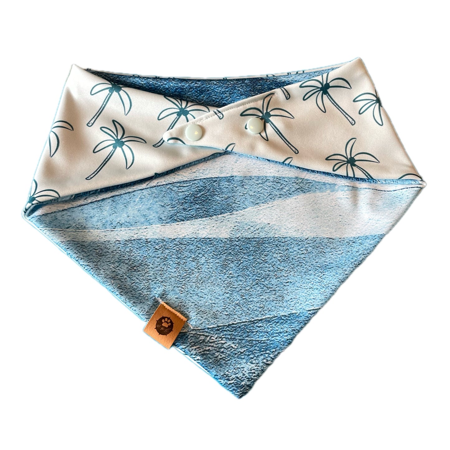 Oakley’s Salty Paws Reversible Adventure Bandana
