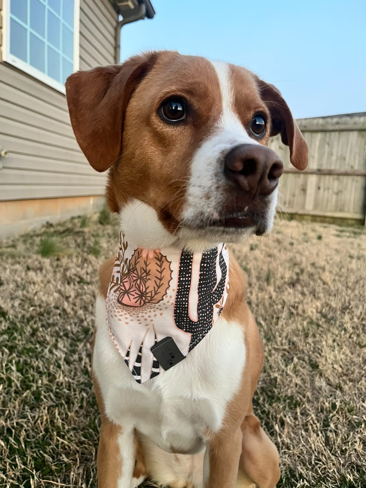 Cowgirl Jessie Reversible Bandana