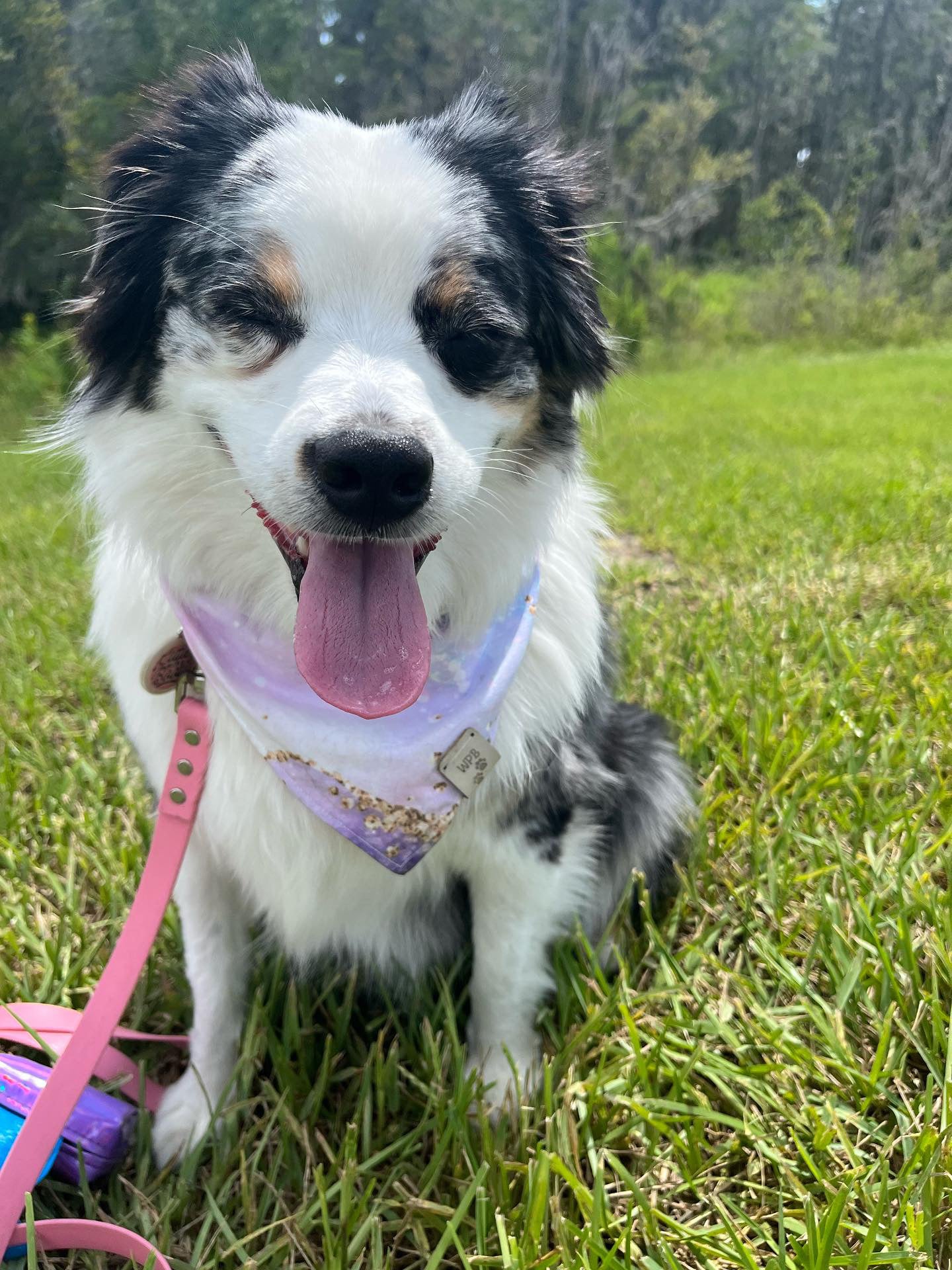 Simple Beauty Reversible Snap On Bandana