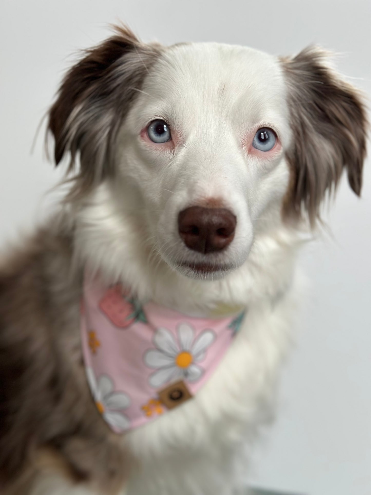 Strawberry Sunshine Bandana