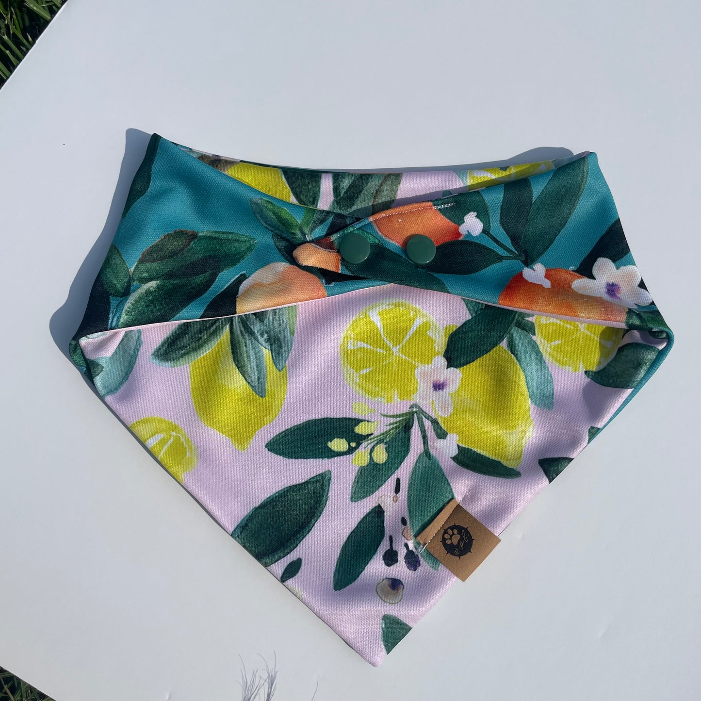 Main Squeeze Reversible Adventure Bandana