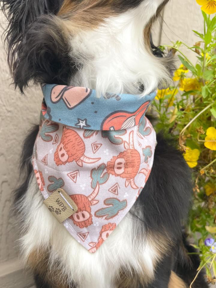 Bodhi’s Wild West Story
