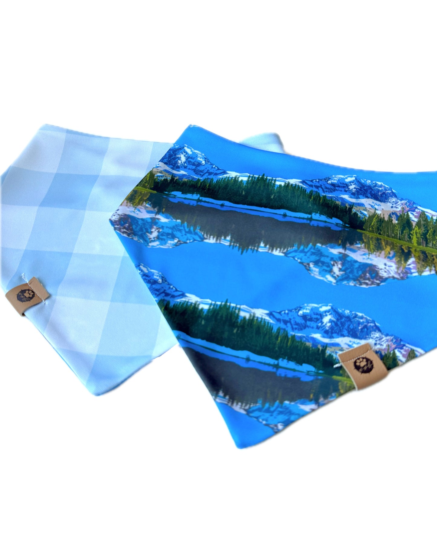Mount Rainier Wander Proof Bandana, Hand Drawn, WPB Exlusive