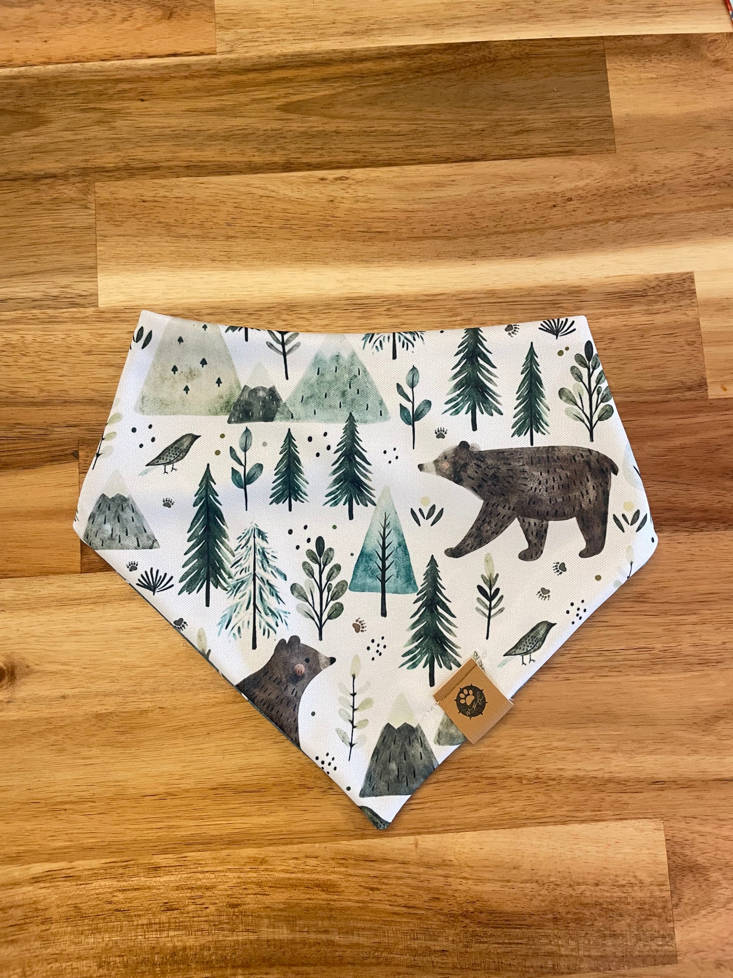 Hiking Pup Reversible Adventure Bandana