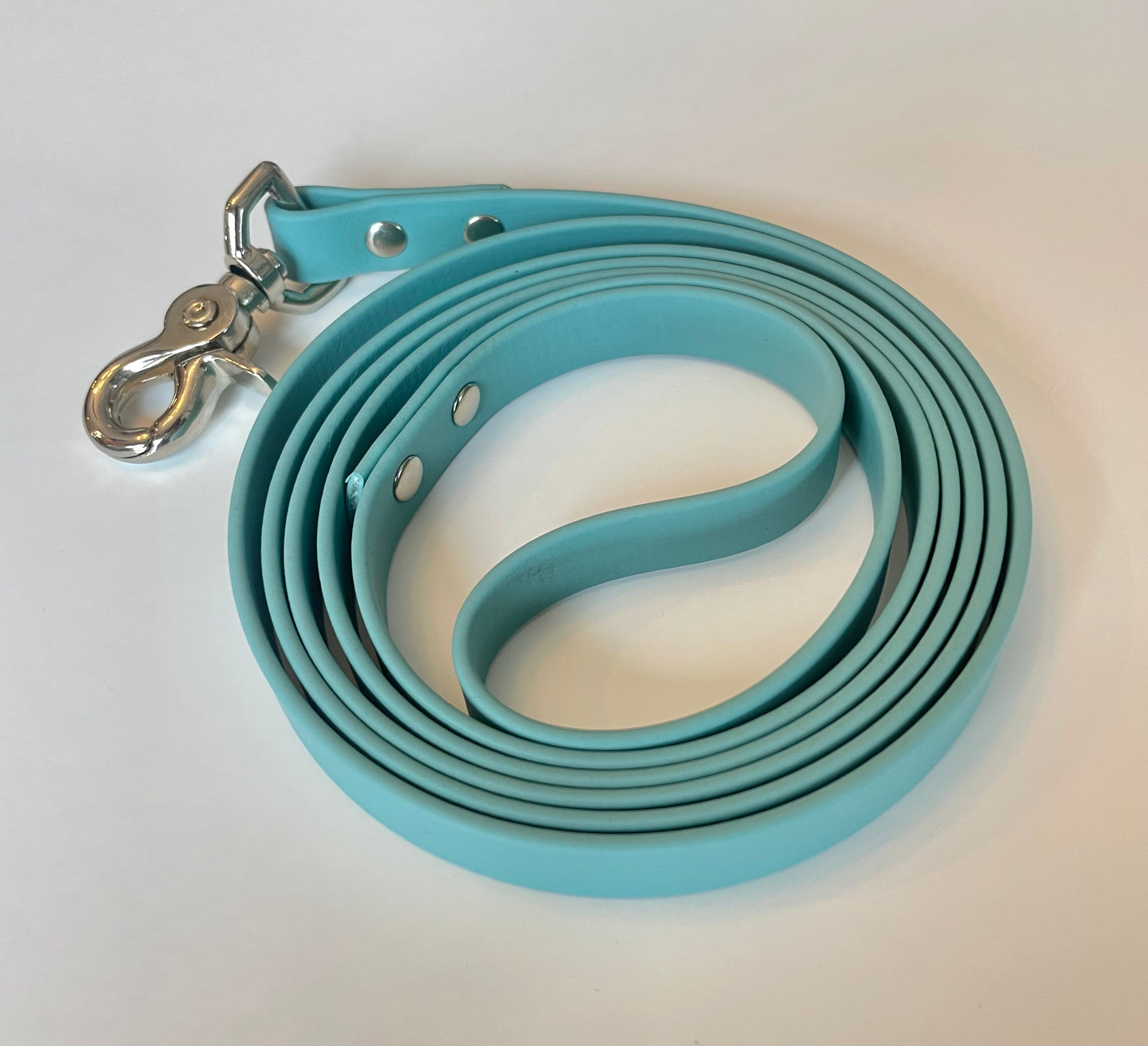 Teal Biothane Dog Leash