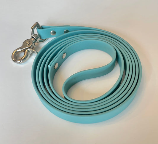 Teal Biothane Dog Leash