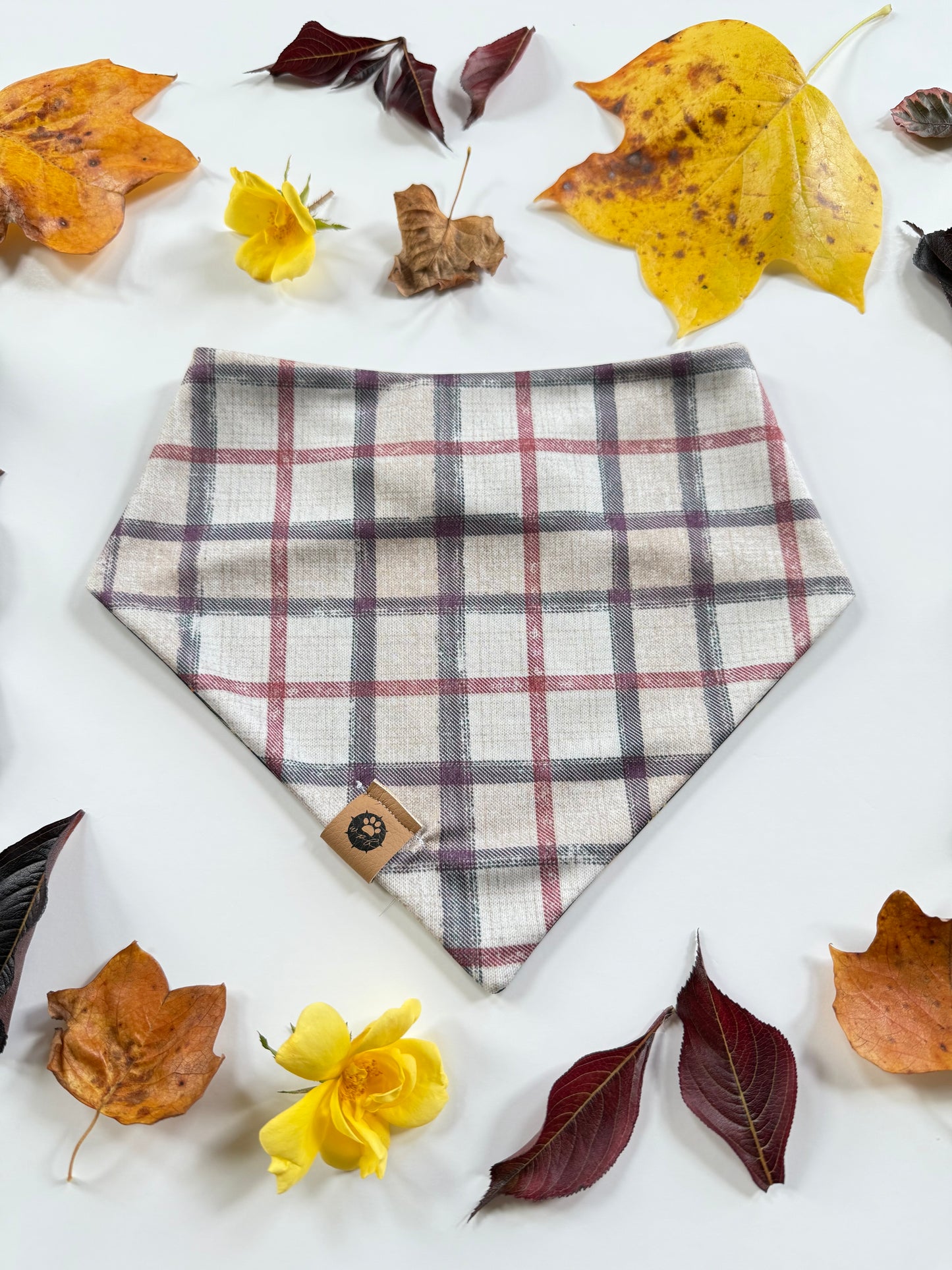 Bookish Autumn Reversible Adventure Proof Bandana