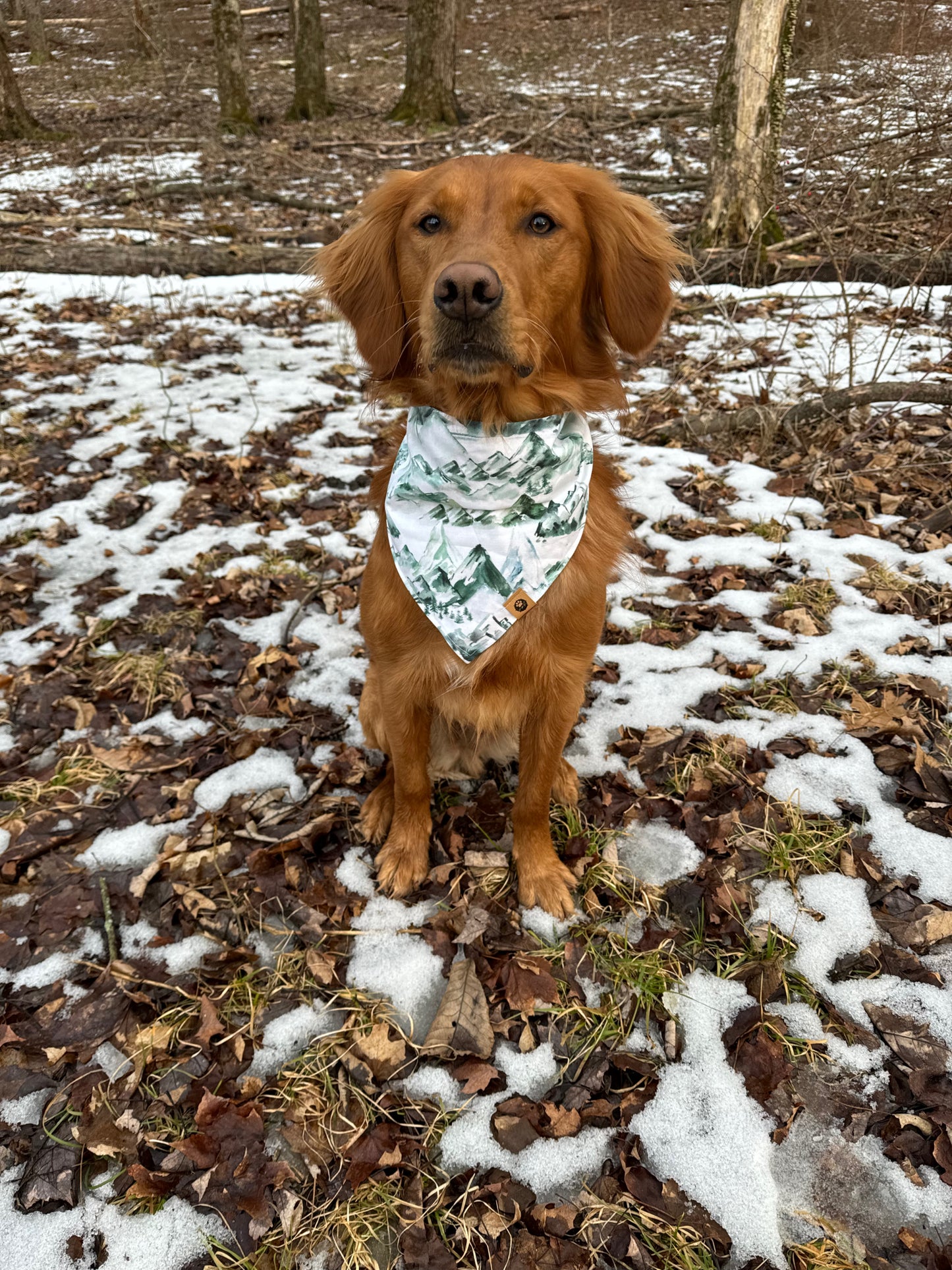 Lucky Peaks Reversible Bandana