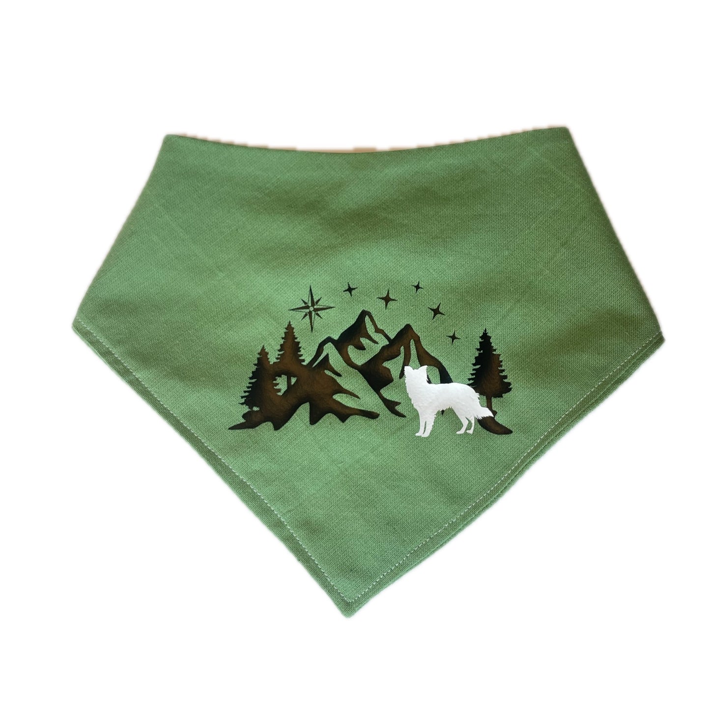 Custom WPB Adventure Bandana