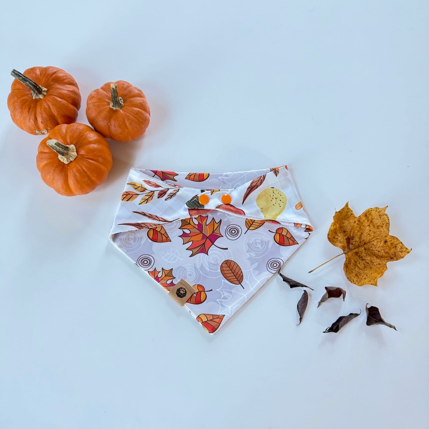 Autumn Air Reversible Adventure Proof Bandana