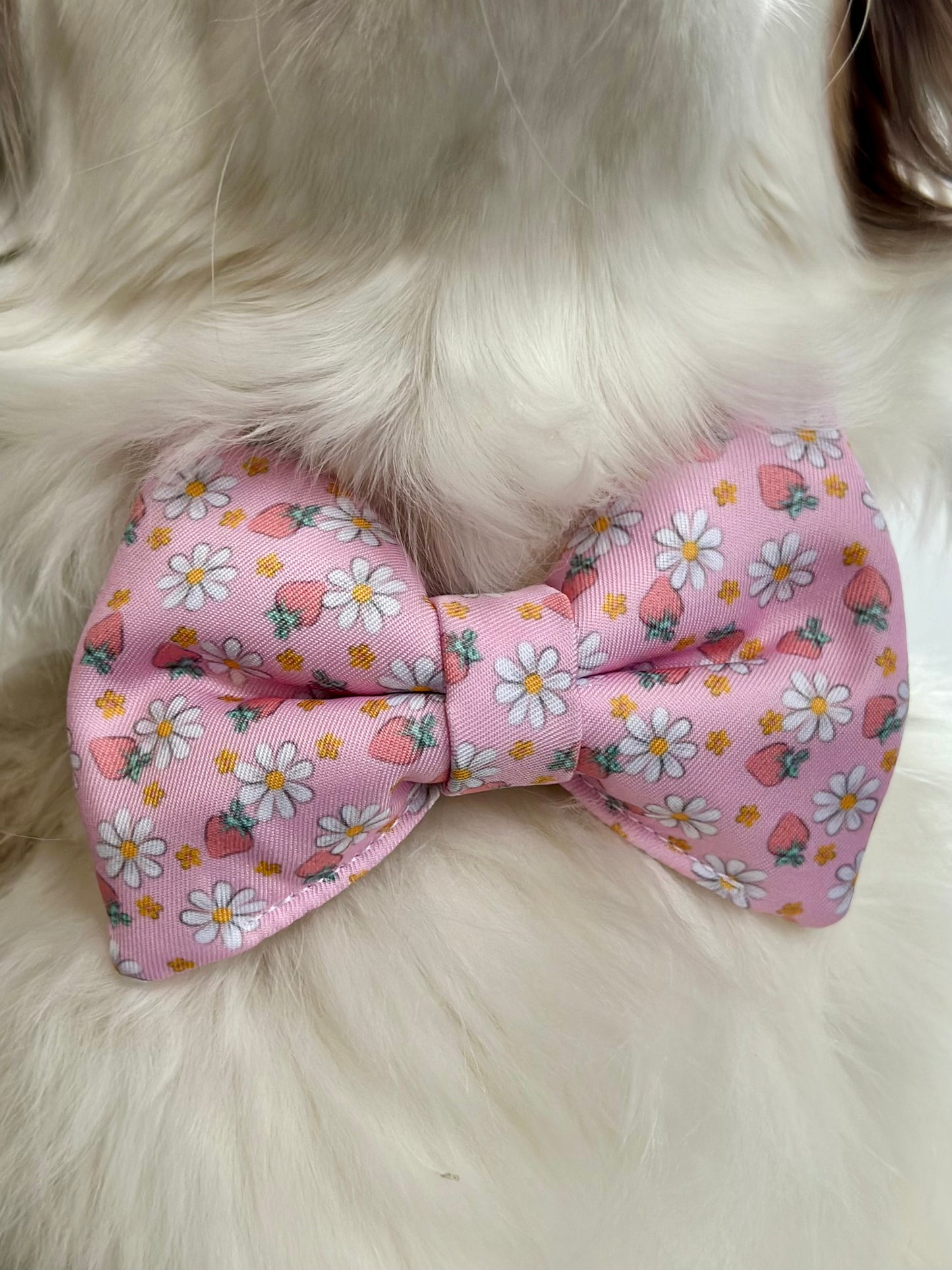 Strawberry Sunshine Bow Tie