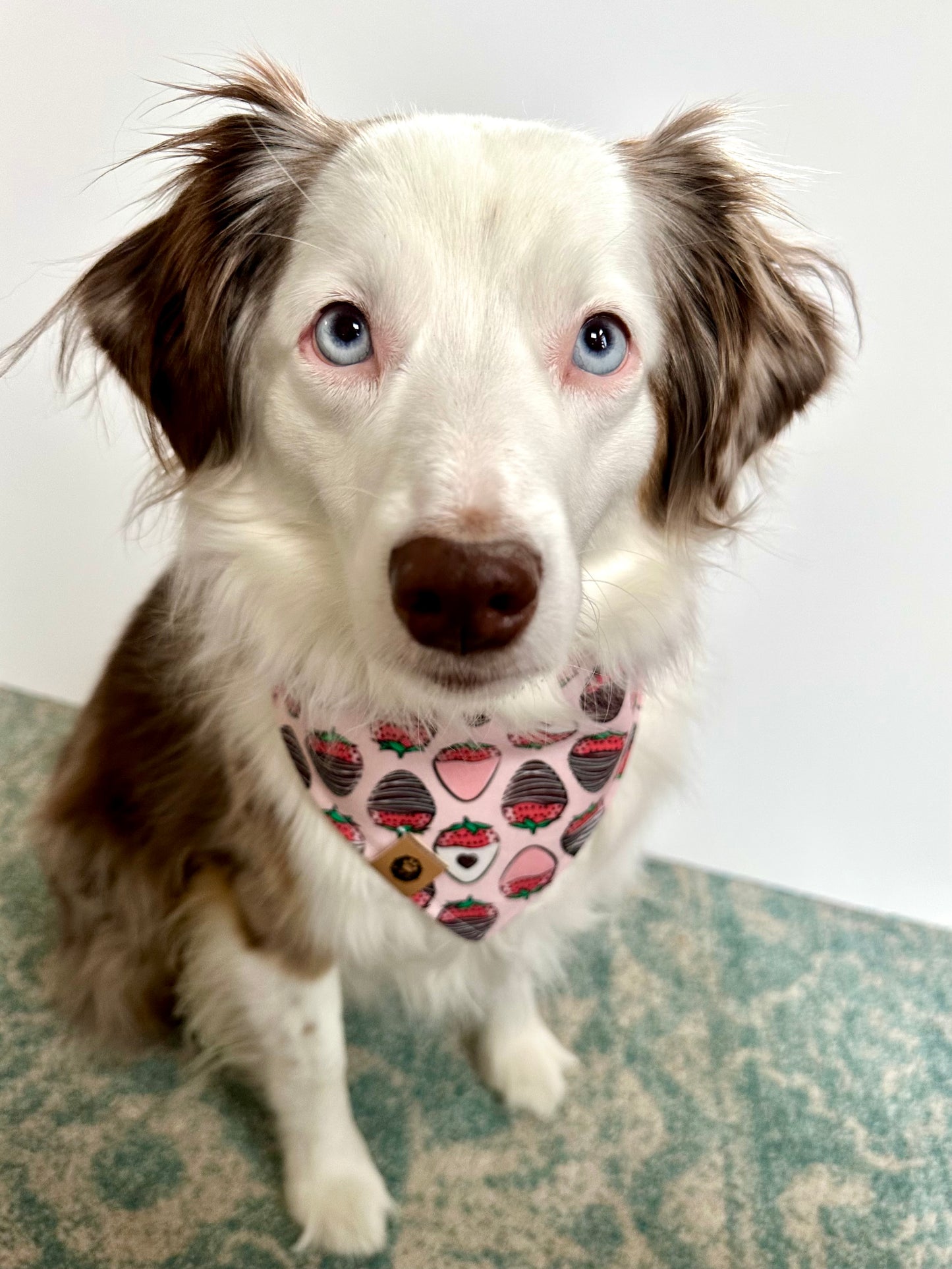 Beary Lovely Bandana