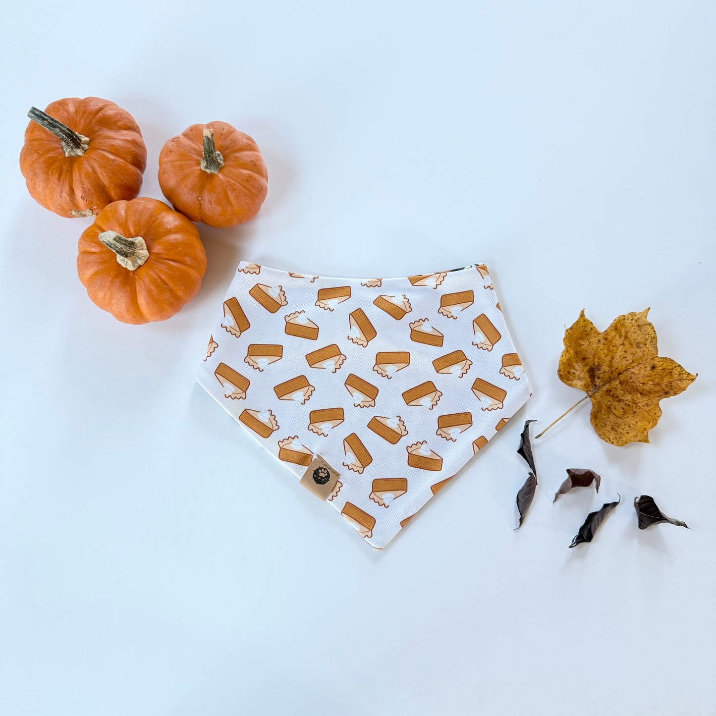 Pumpkin Pie Reversible Adventure Proof Bandana