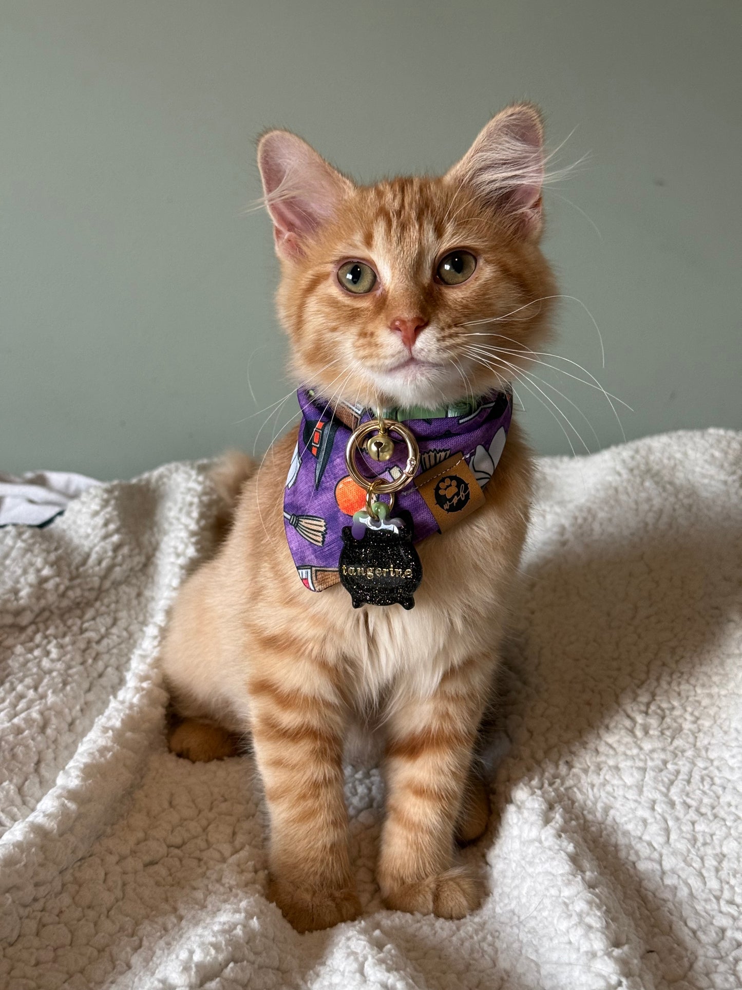Bewitched Wanderproof Bandana