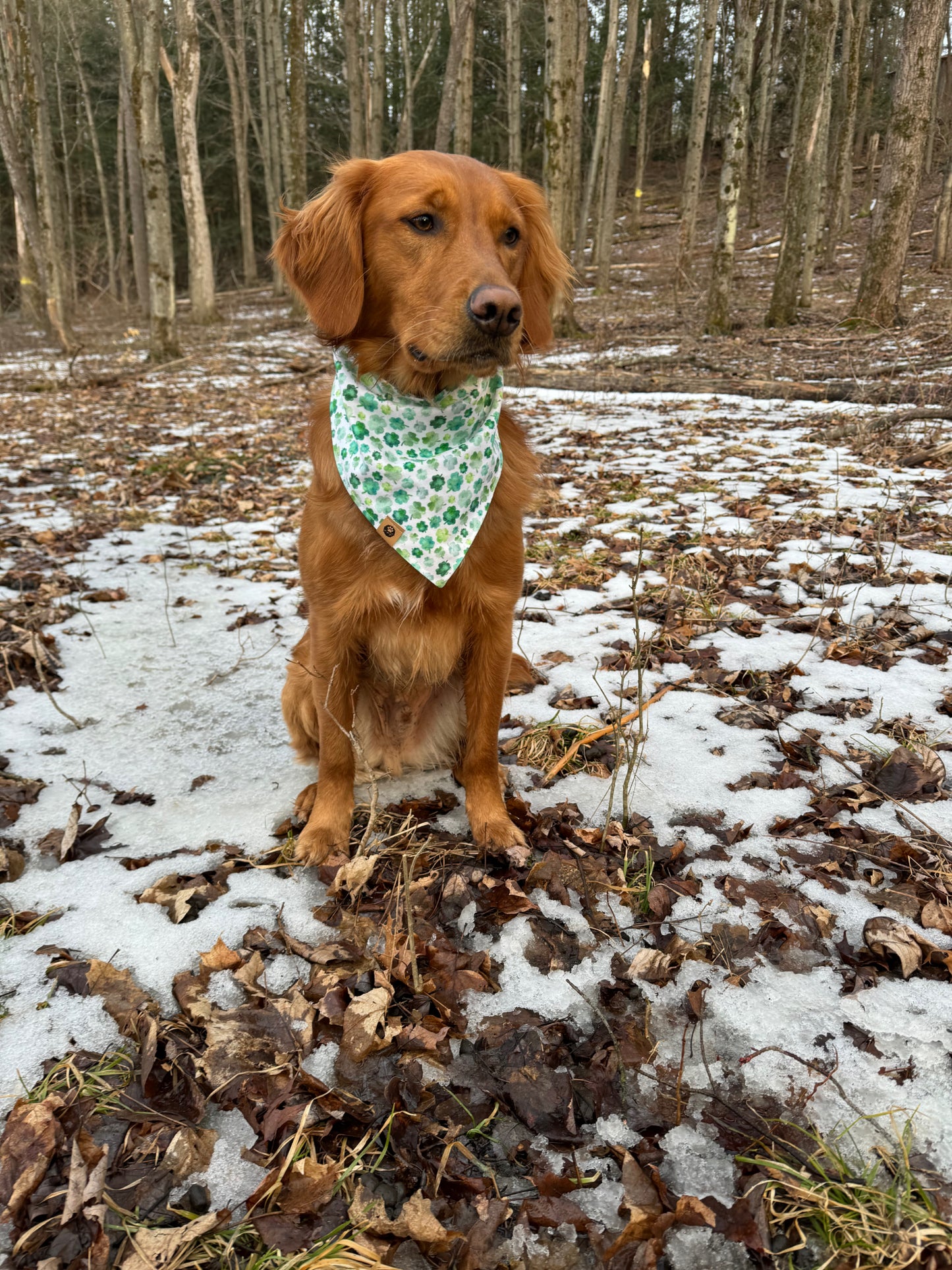 Lucky Peaks Reversible Bandana