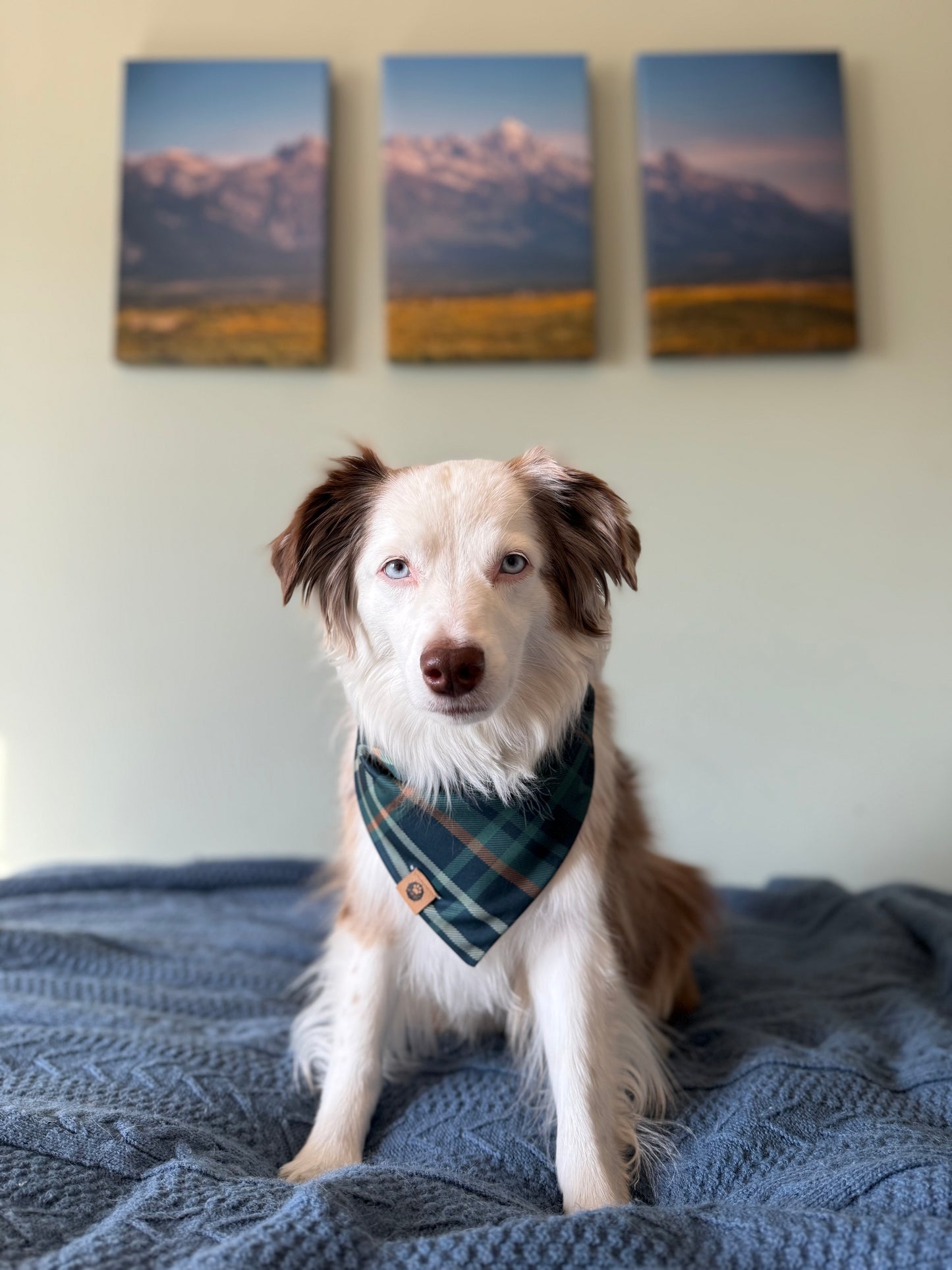 Fall Peaks Reversible Adventure Proof Bandana