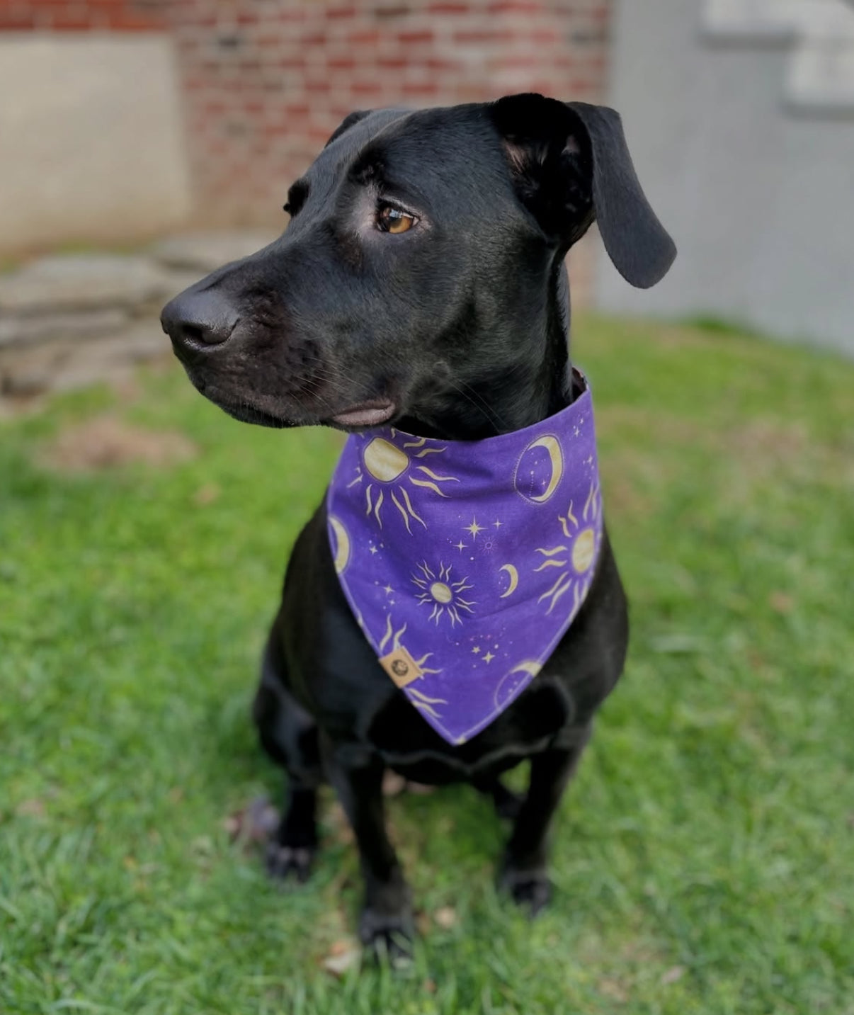 Spellbound Stories Reversible Bandana