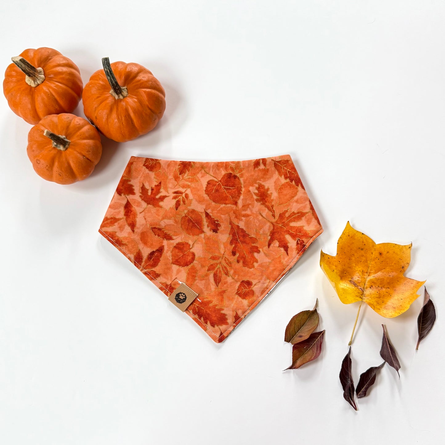 Ember Trail Reversible Bandana
