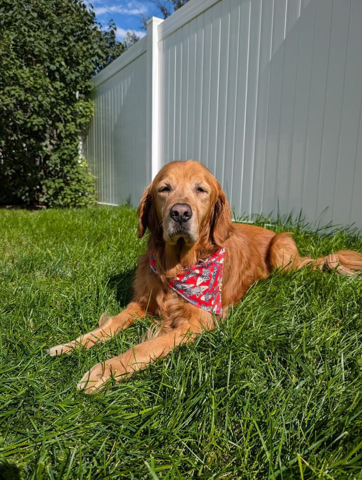 Surf & Snap Reversible Bandana