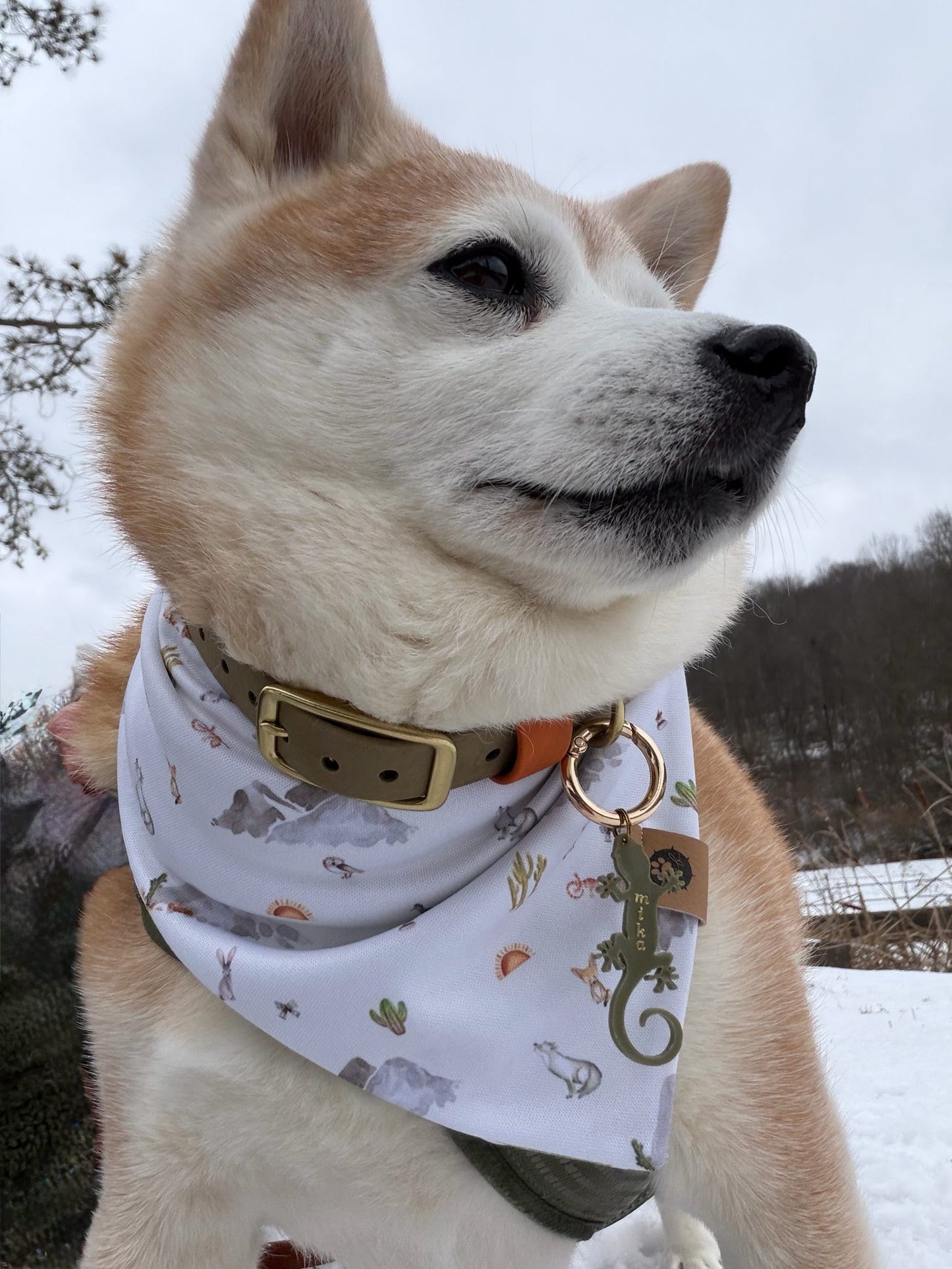 Mika’s Desert Dwellers Reversible Wander Proof Bandana