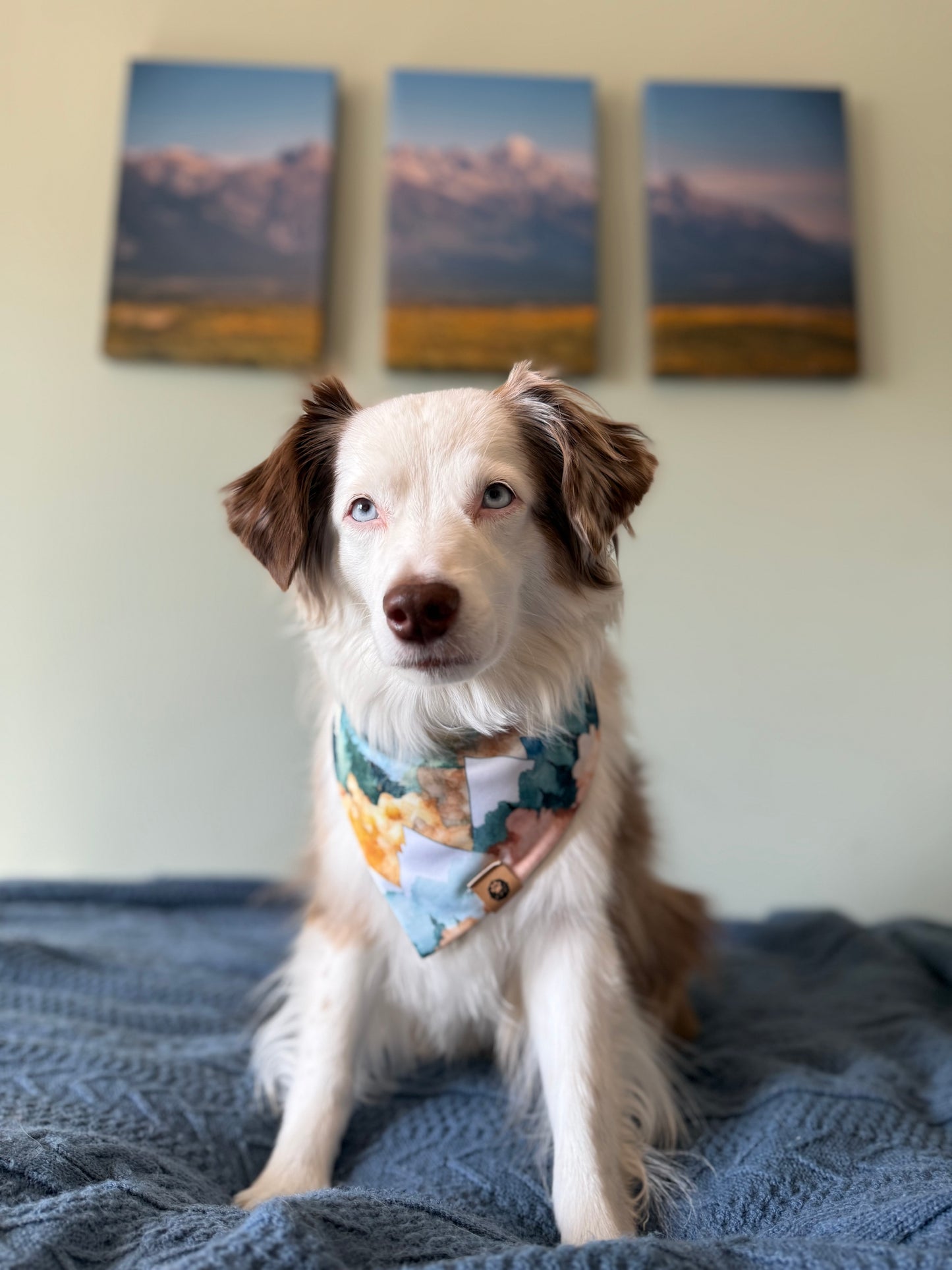 Fall Peaks Reversible Adventure Proof Bandana