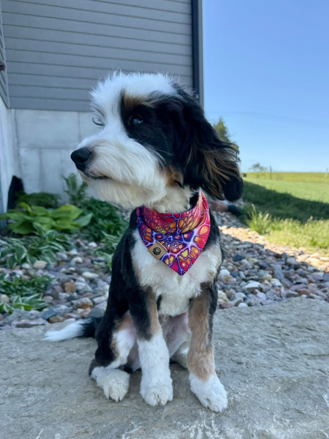 Kaleidoscope Journey Wander Proof Bandana