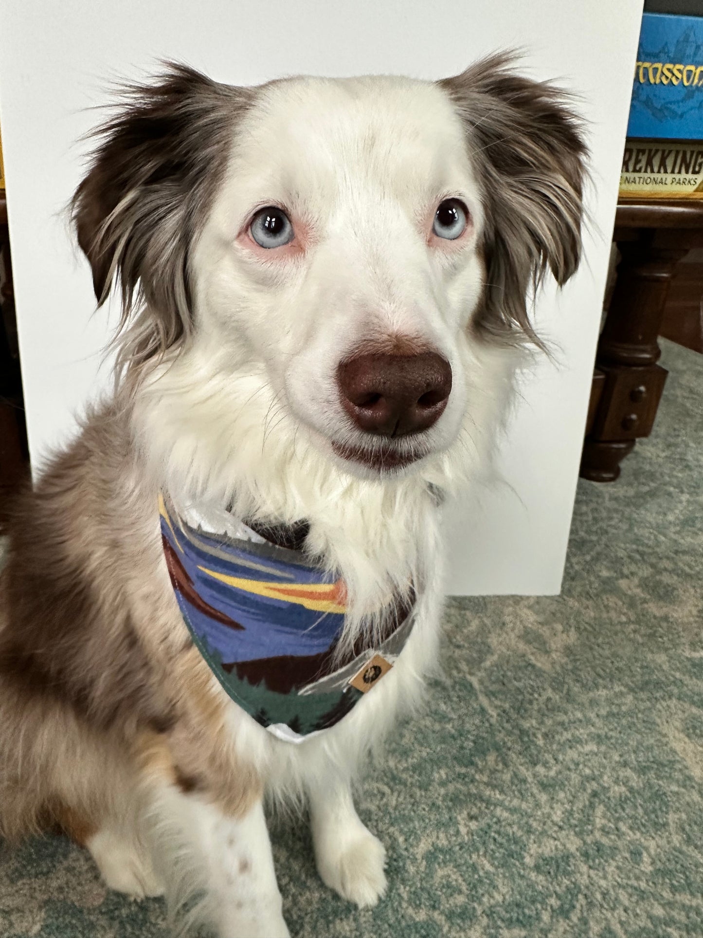Alpine Spirit Flannel Reversible Bandana