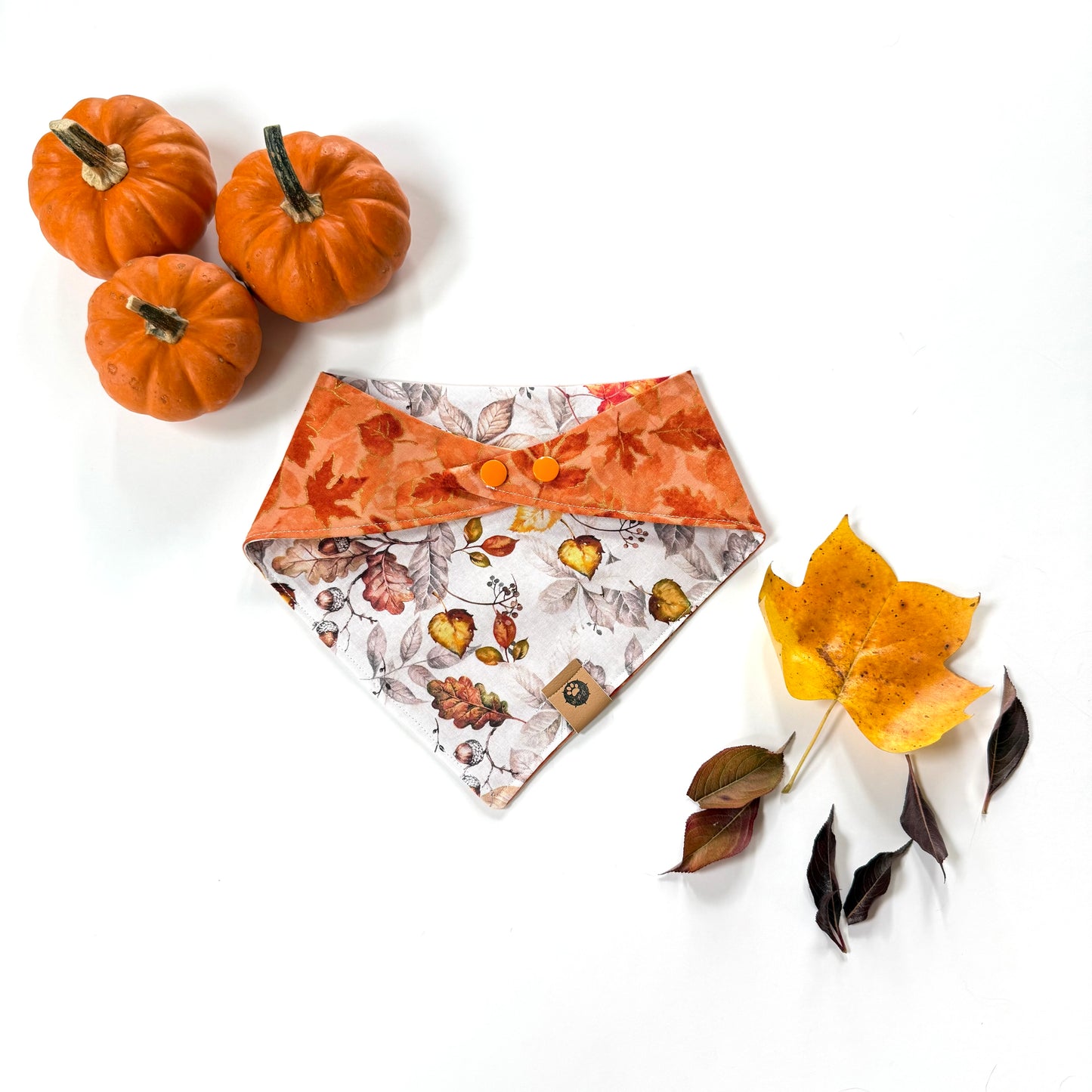 Ember Trail Reversible Bandana