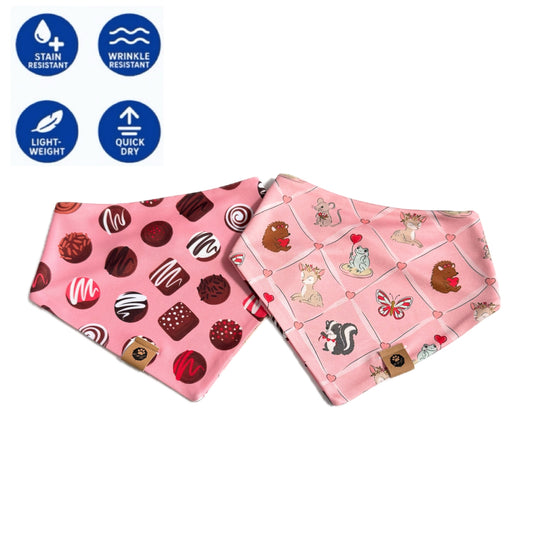 Critters and Chocolates Collab Reversible Wander Proof Bandana