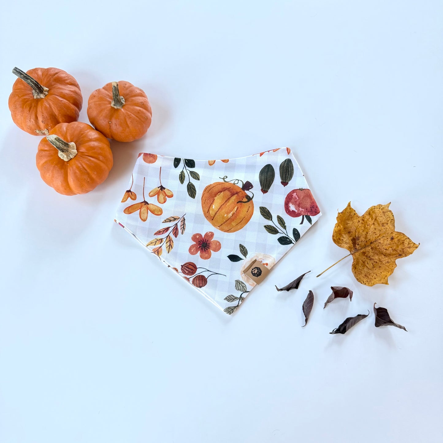 Autumn Air Reversible Adventure Proof Bandana