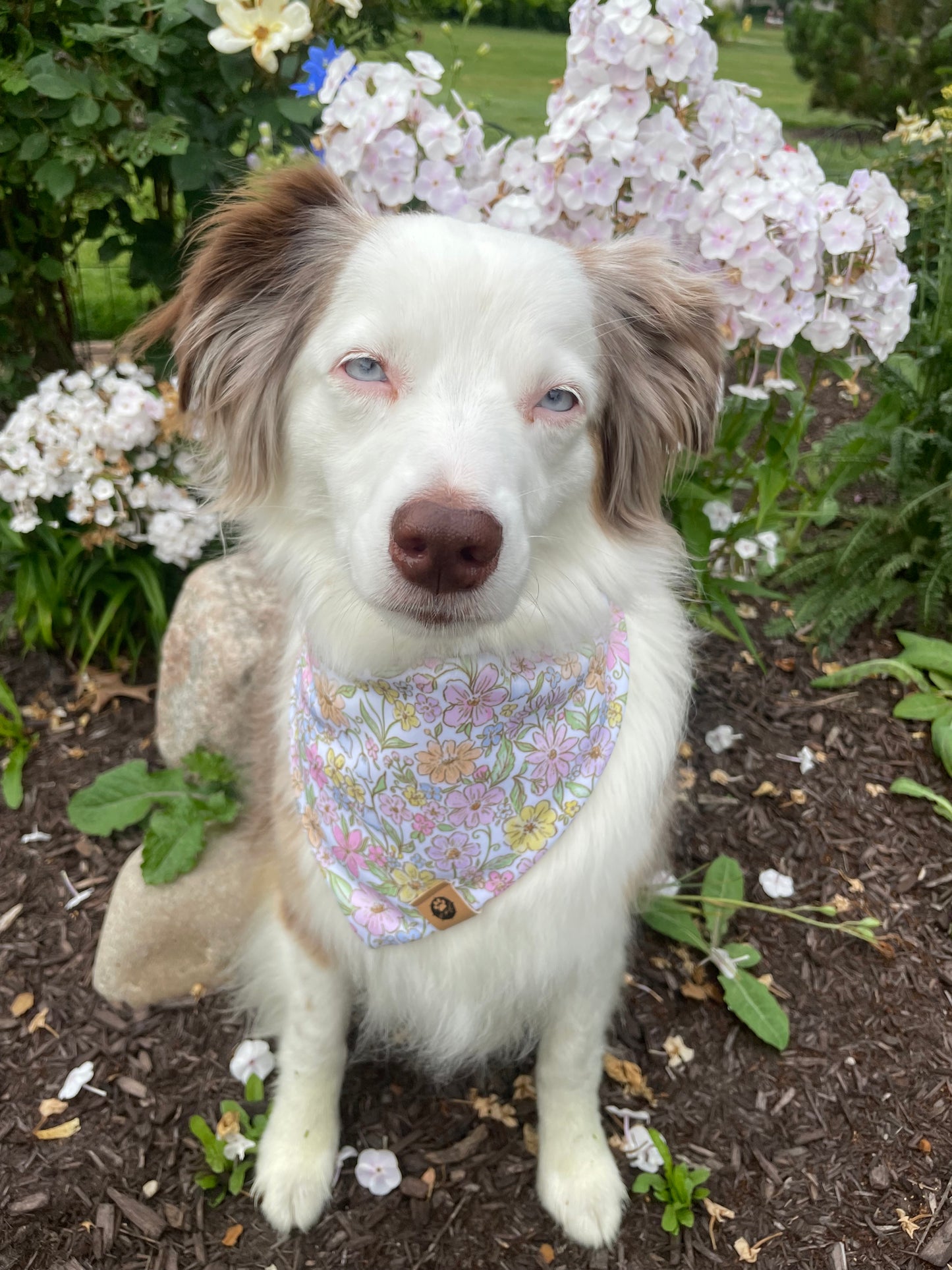 Wildflower Wanderer Reversible Adventure Bandana
