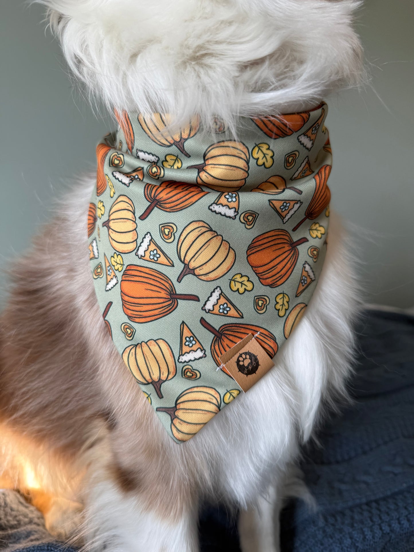 Thanksgiving Day Reversible Adventure Proof Bandana