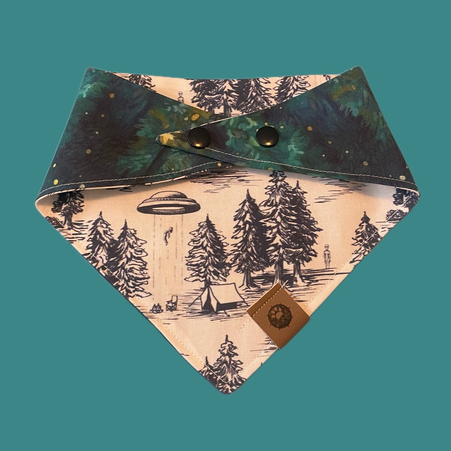 Beam Me Up Bandana