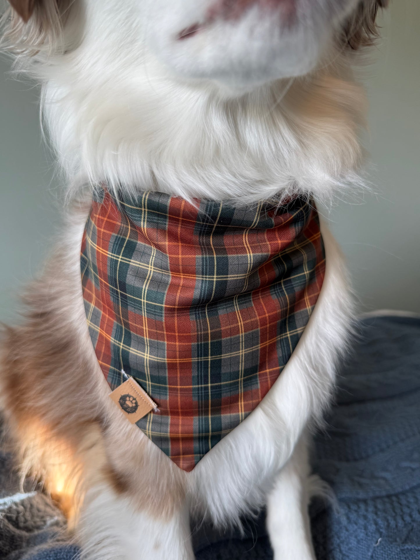 Thanksgiving Day Reversible Adventure Proof Bandana