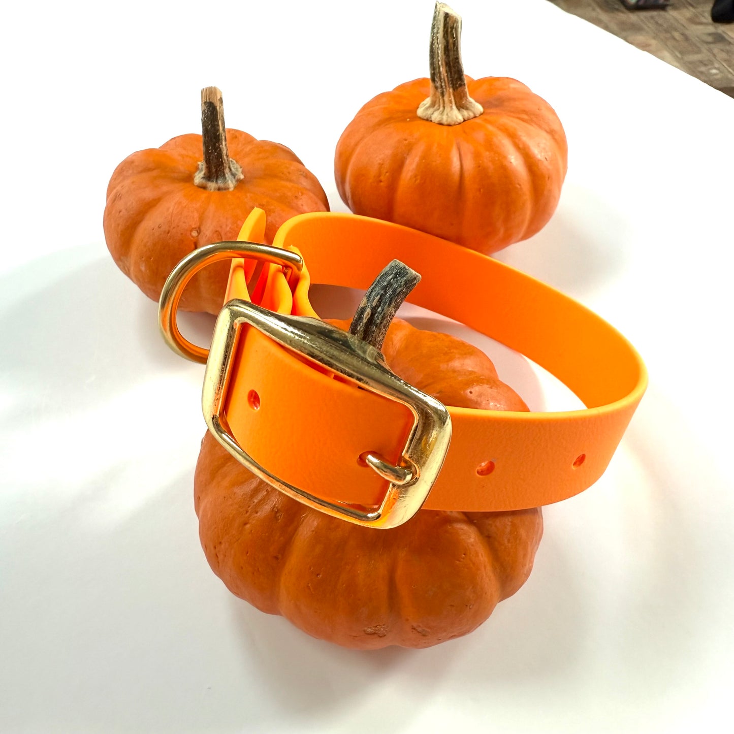 Fall Biothane Dog Collar