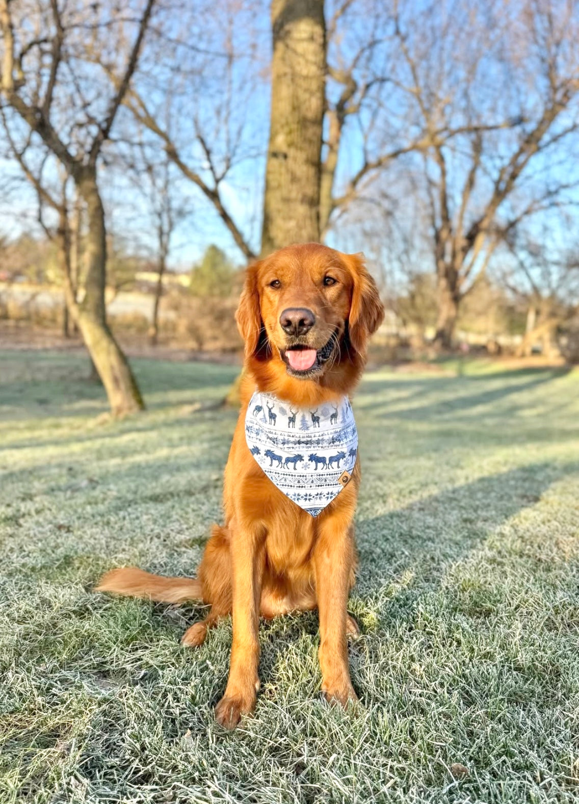 Scandinavian Winter Reversible Bandana