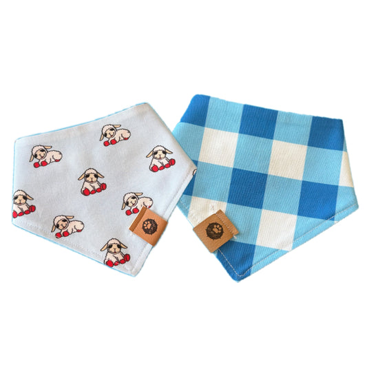 Koda’s Chill and Play