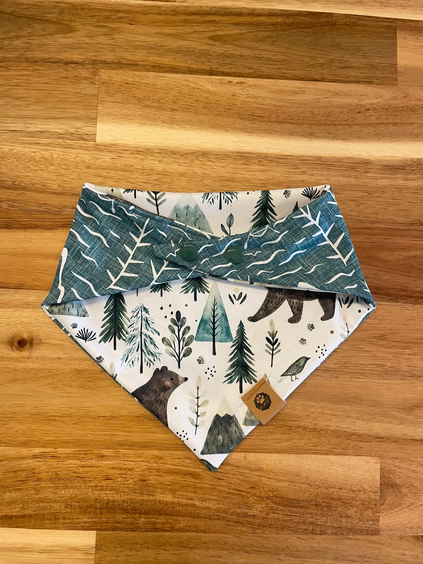 Hiking Pup Reversible Adventure Bandana