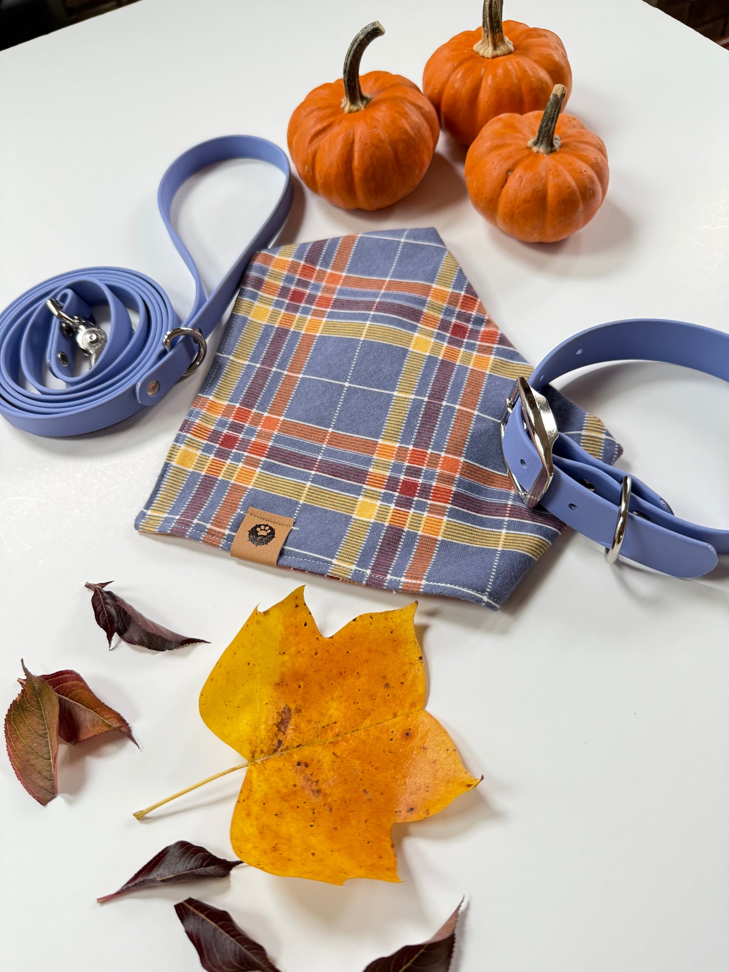 Cozy Flannel Reversible Bandana