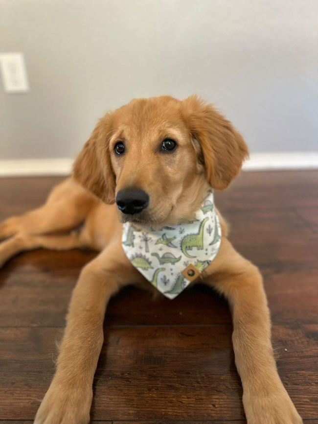 Jurassic Bloom Bandana