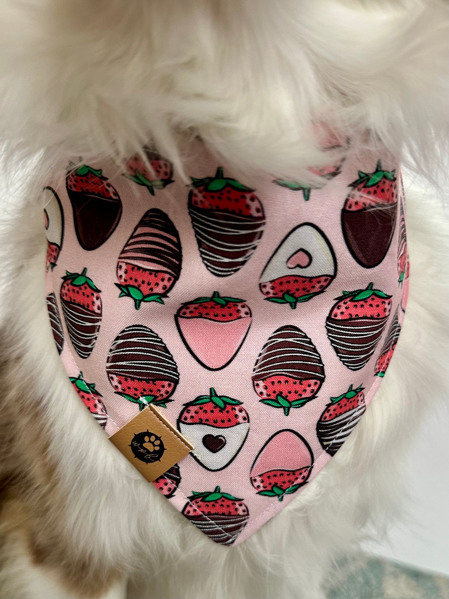 Beary Lovely Bandana