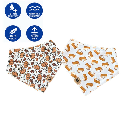 Pumpkin Pie Reversible Adventure Proof Bandana