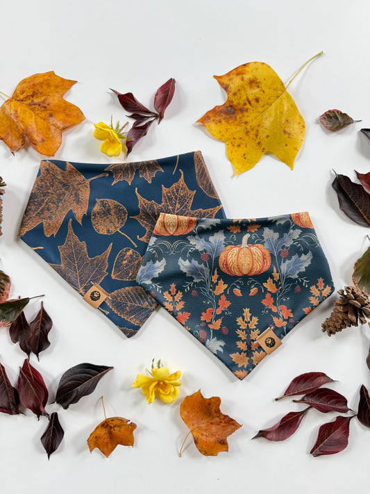 Midnight Patch Reversible Adventure Proof Bandana