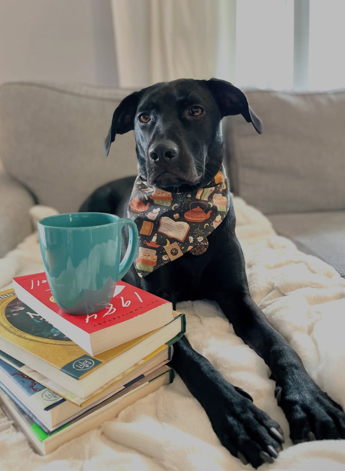 Spellbound Stories Reversible Bandana