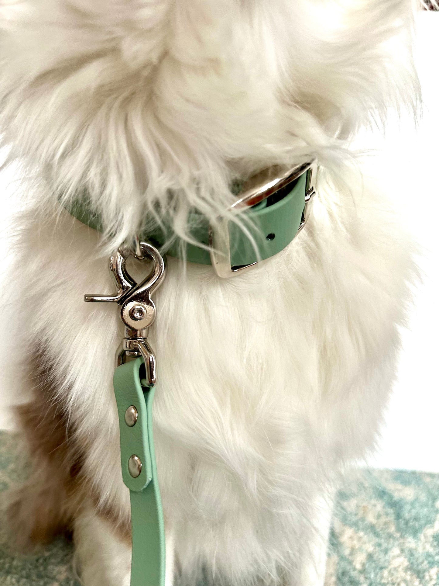 Sage Green Biothane Leash