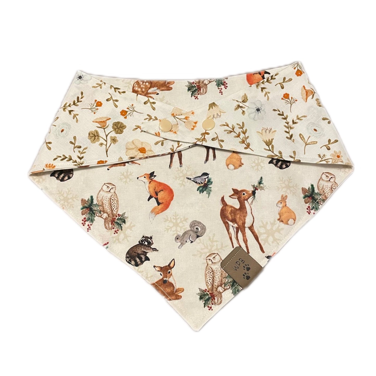 Aurora’s Walk in Nature Reversible Bandana