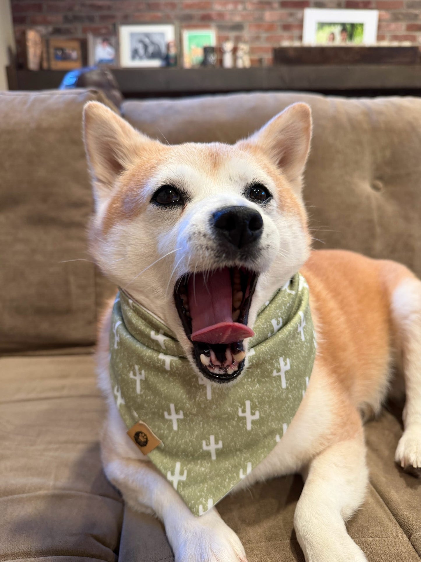 Mika’s Desert Dwellers Reversible Wander Proof Bandana