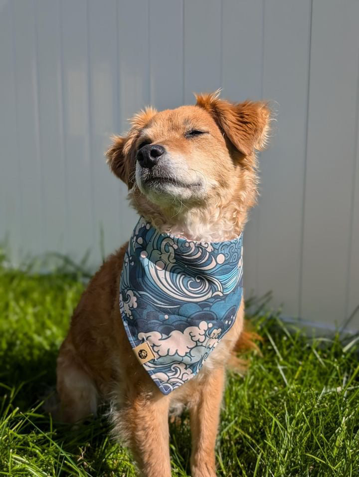 Surf & Snap Reversible Bandana