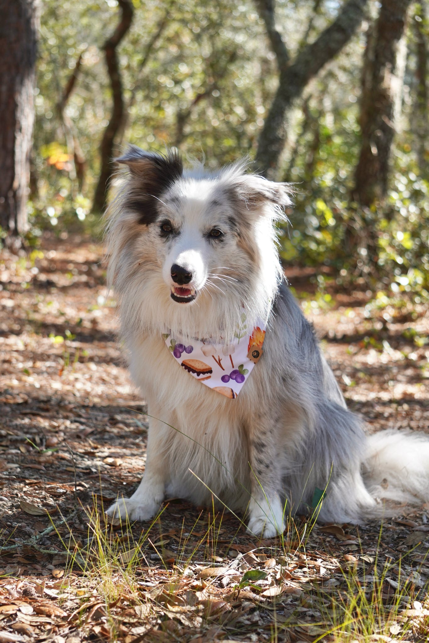 Everest’s Campfire Picnic Reversible Wander Proof Bandana